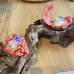 YOSHIKI FUJI - カワハギ