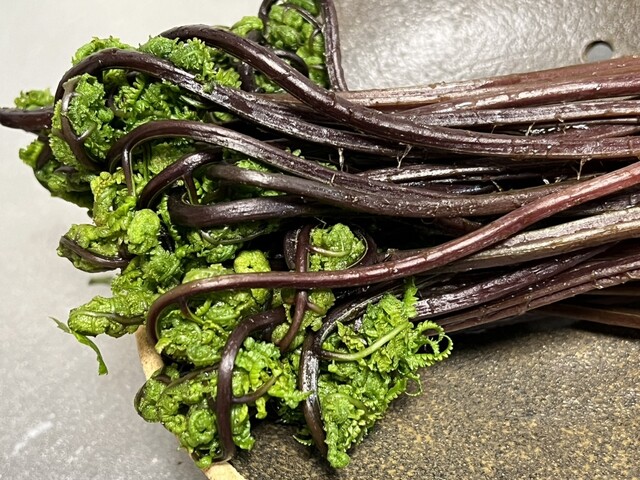 道の駅 天童温泉 - 天童（道の駅）の写真