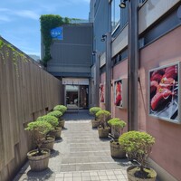 おたる政寿司 本店 - 