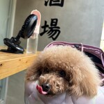 大衆食堂みゆき - 舌出してるｗ