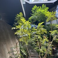 原宿焼肉 KINTAN - 