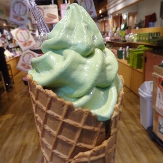 お茶の井ヶ田 _1