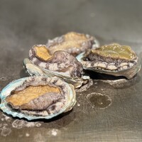 銀座 鉄板焼 向日葵 - 