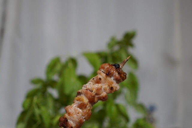 とりよし炭火焼鳥本店（とりよしすみびやきとりほんてん） - 旭川（焼き鳥）の写真