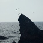 料理旅館 平成 - カモメの水兵さん♪