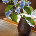 Daikonya - 这是在庭院里盛开的花