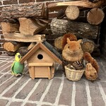 Prince Hotel Karuizawa Asama