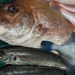 タカラヤ - 西目の漁師さん、久栄丸・今野貴広さんこだわりの鮮魚♬♬♬ദ്ദി ´ᵕ｀๑)و♡♬♬♬