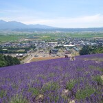 北星山ラベンダー園 - 富良野方面