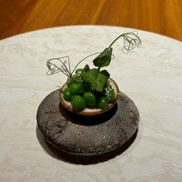 ル スプートニク - 