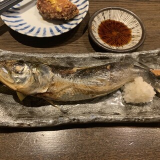 酒場日々 - 料理写真: