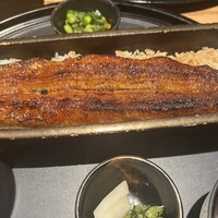 うなぎ四代目菊川 ヒルトンプラザウエスト大阪店 - 