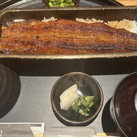 うなぎ四代目菊川 ヒルトンプラザウエスト大阪店 - 