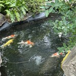 炭焼うな富士 - 池泉