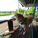 さとやまカフェ - 