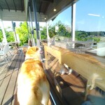 さとやまカフェ - 中にいるお父さんにガラス越しのペロペロ