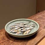 米増 - 島根、高津川の大きな鮎