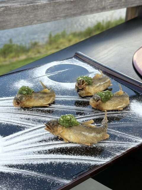 Kyoryori Satsuki photo 3