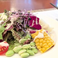 南蛮 銀圓亭 - 季節野菜のサラダ