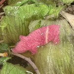 しゃぶしゃぶ もり島 - 