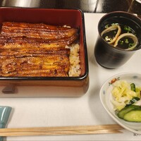 鰻割烹 伊豆栄 本店 - 