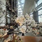 ルーフトップ バー - 