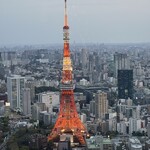 ルーフトップ バー - 