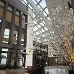 ルーフトップ バー - 