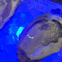 MAIMON GINZA - 