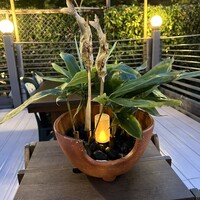 がんこ 高瀬川二条苑 - 