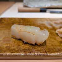 鮨 功 - スズキ：高値で取引が続く篠島のスズキです。