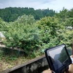 炭火焼肉 ジパング - 