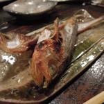 酒盃 - 自家製ひものハタハタ塩魚汁干し　ズームアップ