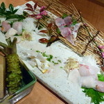 博多 一梅 - 天然魚のお刺身の盛り合わせ（一梅盛り）