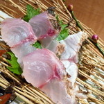博多 一梅 - 天然魚のお刺身盛り合わせ（一梅盛り）