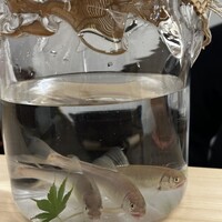 日本料理 久丹 - 