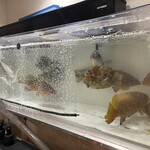 居酒屋 ほたる - 