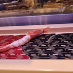 回し寿司 活 活美登利 - 