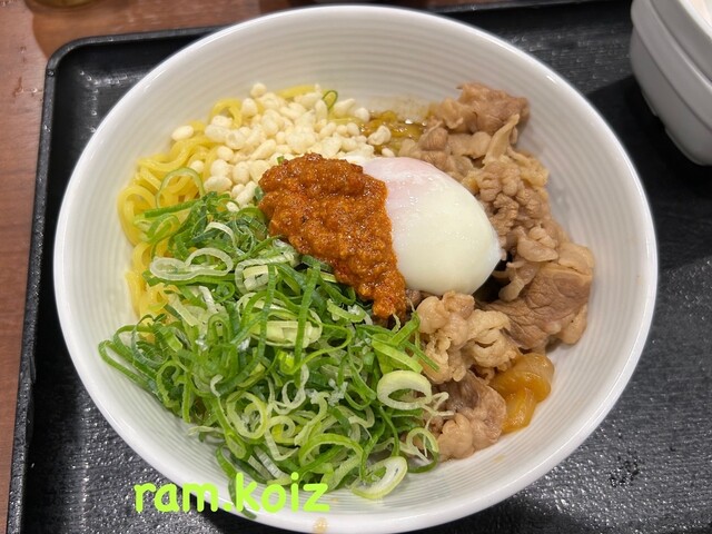 Yoshinoya Jr Himeji Eki Ten - Himeji/Gyu-don (Beef bowl