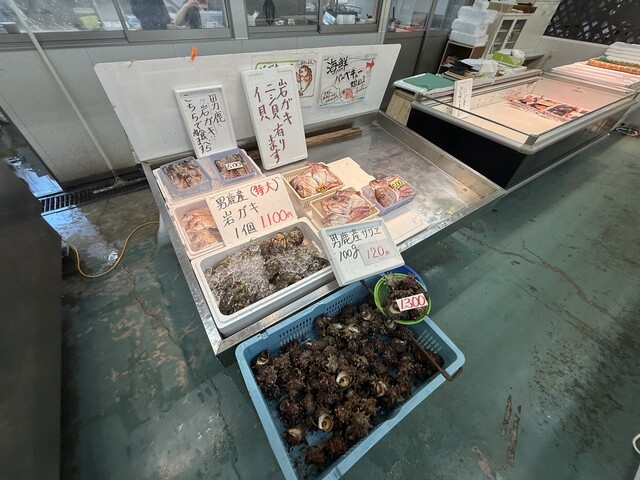 男鹿海鮮市場 - 男鹿（その他）の写真