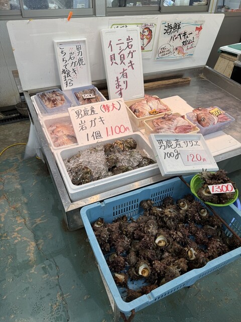 男鹿海鮮市場 - 男鹿（その他）の写真