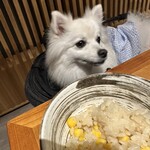 Regina Resort Kyukaruizawa