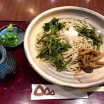 Kashun an - 山菜おろしそば(冷)780円(税別)＋大盛り100円(税別)