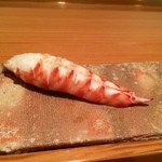 鮨 おさむ - 車海老　繊細です！