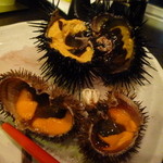 殻つきで「キタムラサキウニ」と「エゾバフンウニ」を頂けるなんて♪