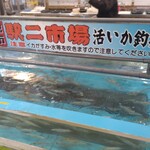 函館朝市 駅二市場 活いか釣り広場 - 