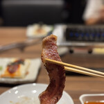 TOKYO焼肉ごぉ - 