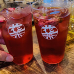 お茶割り専門店 花茶 - 