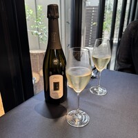 セルサルサーレ - 