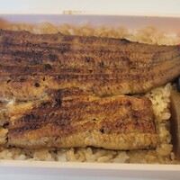 鰻割烹 伊豆栄 本店 -  鰻割烹 伊豆栄 本店 -